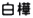 白樺