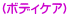 (ボディケア)